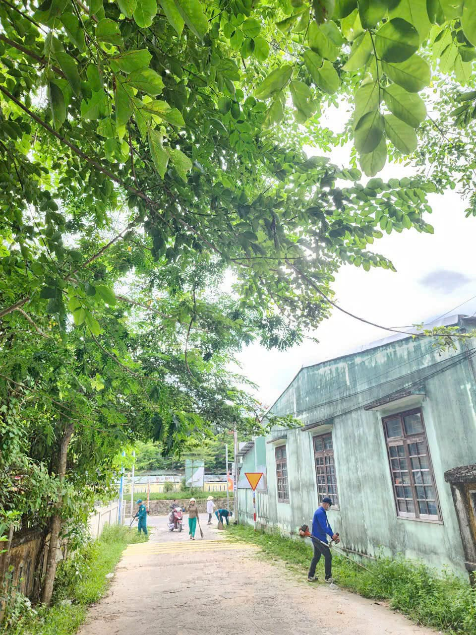 anh tin bai